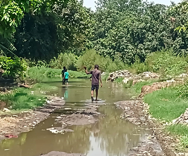 गांव मुजाहिदपुर में सड़क पर जलभराव के बीच होकर गुजरते बच्चे। जागरण